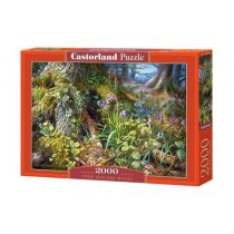 Пазлы Castorland 2000 элементов В лесу KMC-200764