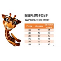Вишиванка для хлопчиків з коротким рукавом тм Авекс