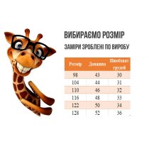 Вишиванка для хлопчика короткий рукав тм Авекс