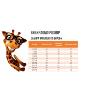 Утеплені флісові штани чорні для хлопчика